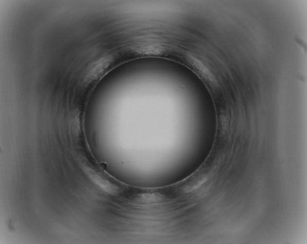 X0000097850541200803141219