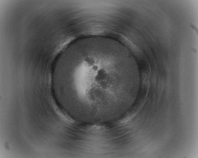 X0000097850542200803141219