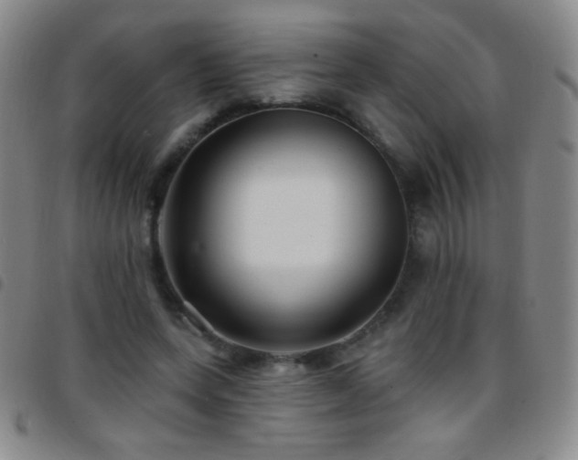 X0000097850543200803141219
