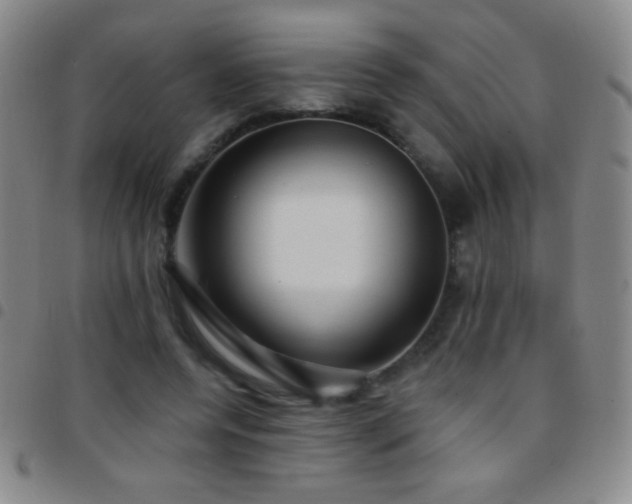 X0000097850544200803141219