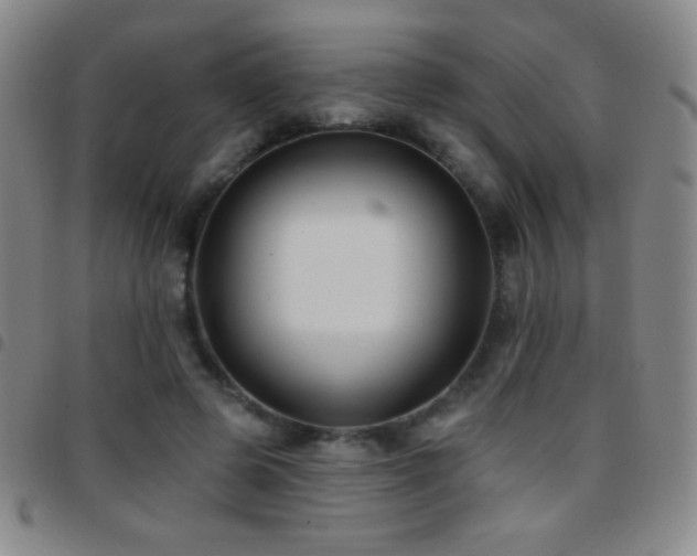 X0000097850545200803141219