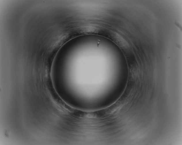 X0000097850546200803141219