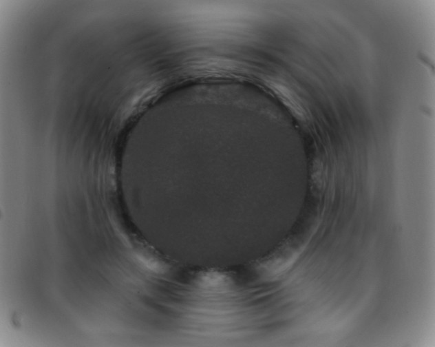 X0000097850547200803141219