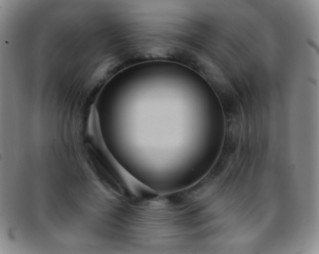 X0000097850548200803141219