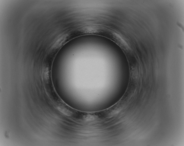 X0000097850549200803141219