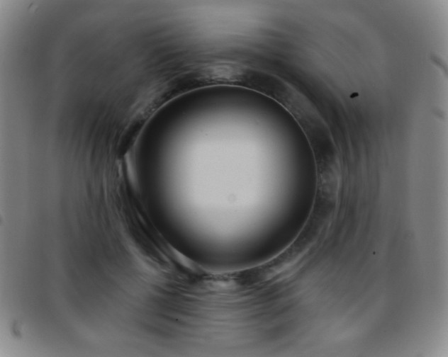 X0000097850552200803141219