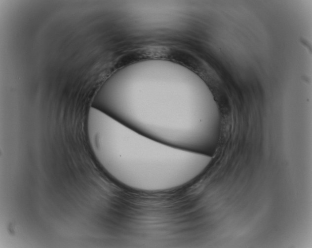 X0000097850553200803141219