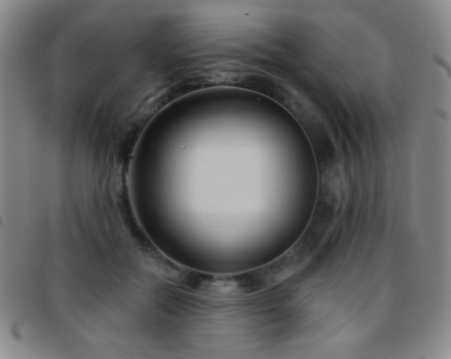 X0000097850554200803141219