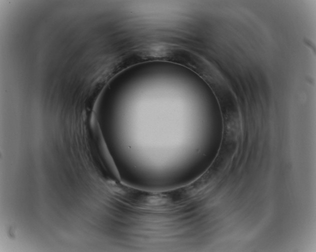 X0000097850555200803141219
