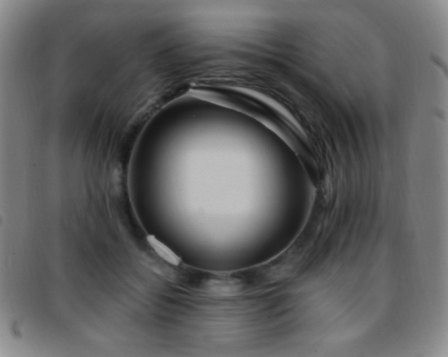 X0000097850556200803141219