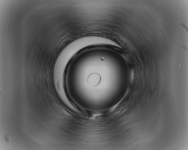 X0000097850558200803141219