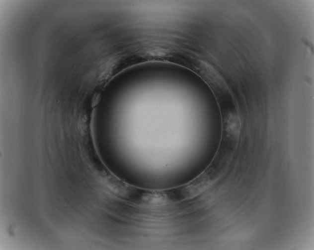 X0000097850559200803141219