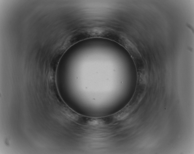 X0000097850561200803141219