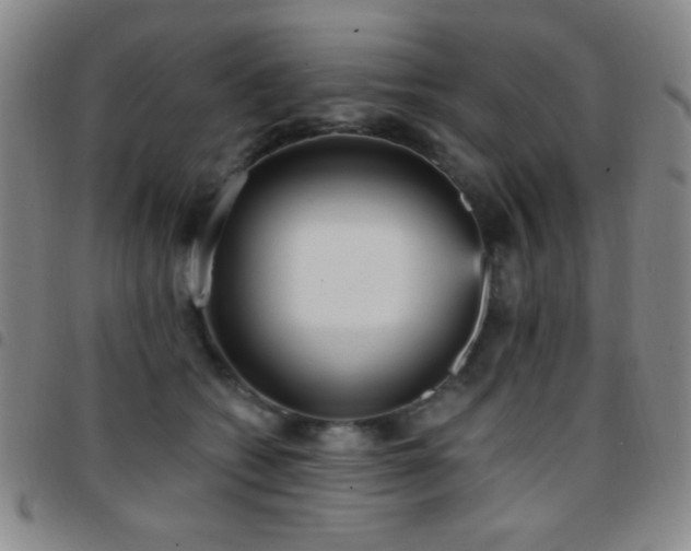 X0000097850562200803141219