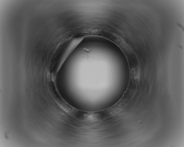 X0000097850564200803141219