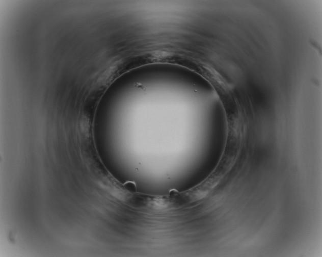 X0000097850565200803141219