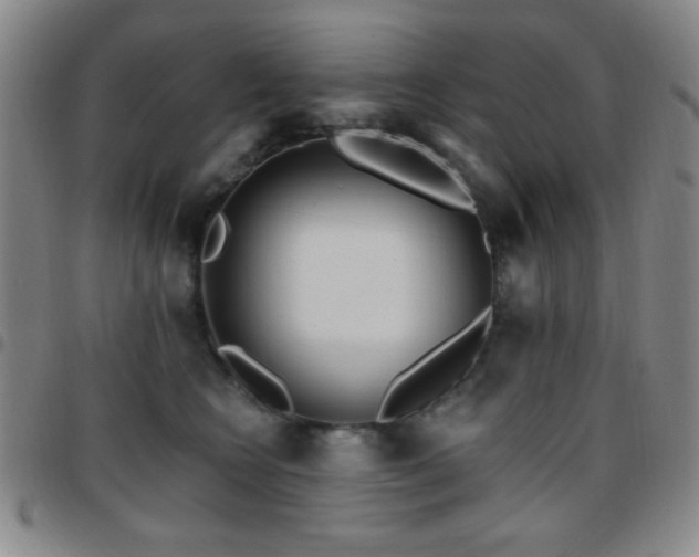 X0000097850566200803141219