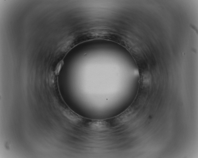 X0000097850567200803141219