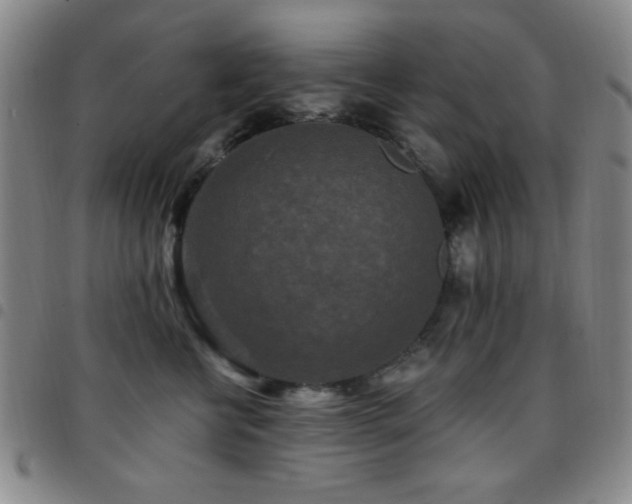 X0000097850570200803141219