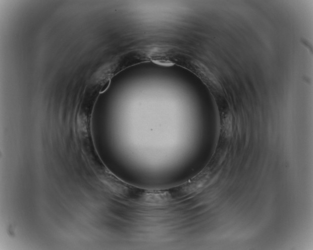 X0000097850571200803141219