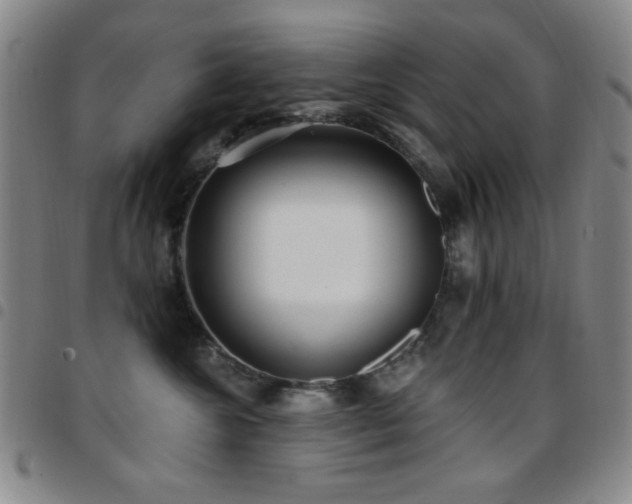 X0000097850572200803141219