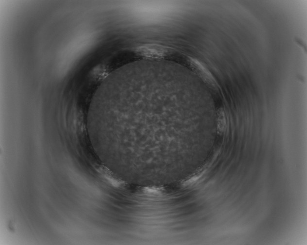 X0000097850573200803141219