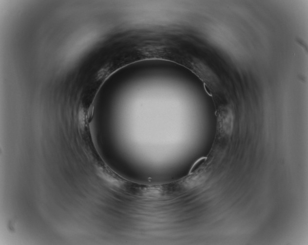 X0000097850574200803141219