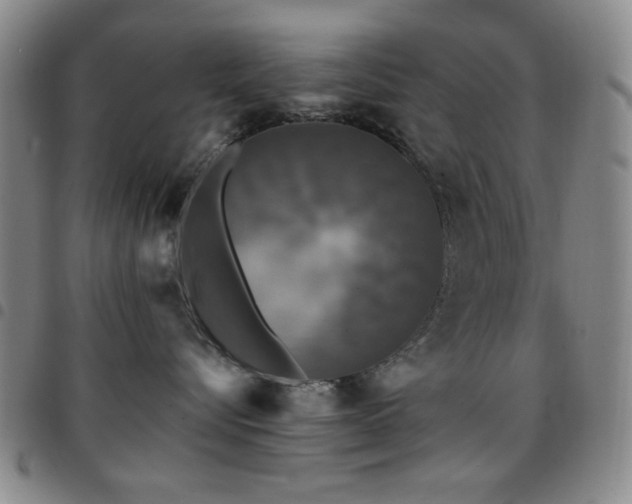 X0000097850576200803141219