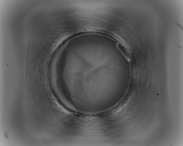 X0000097850577200803141219