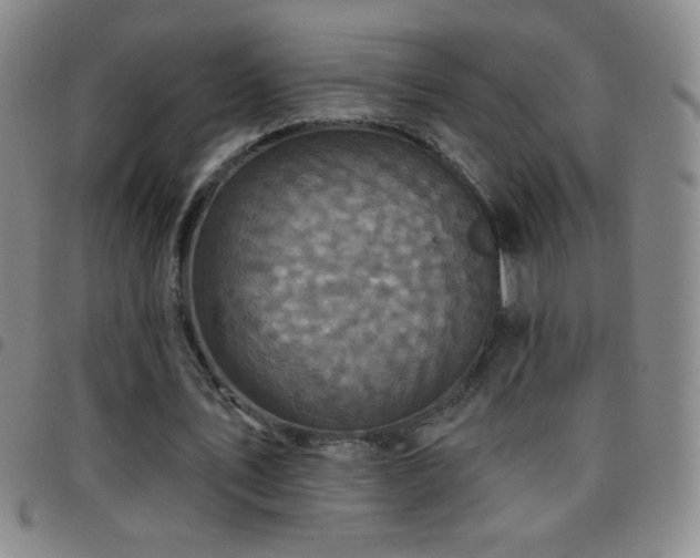 X0000097850579200803141219
