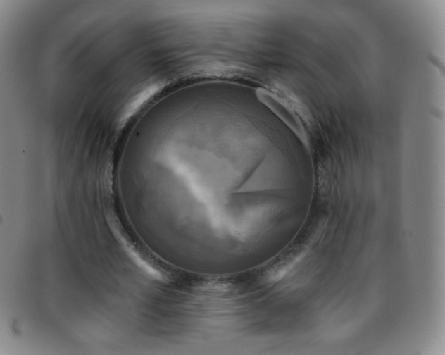 X0000097850581200803141219