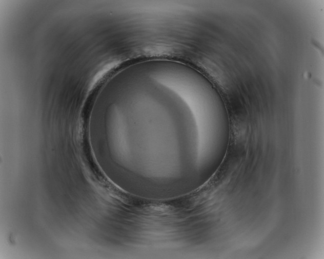 X0000097850583200803141219