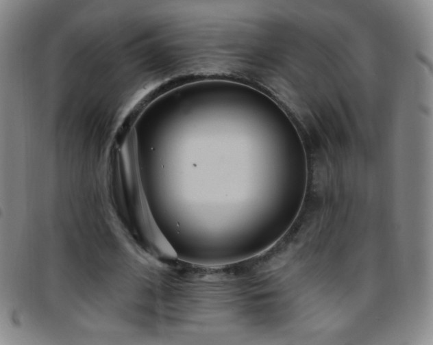 X0000097850584200803141219