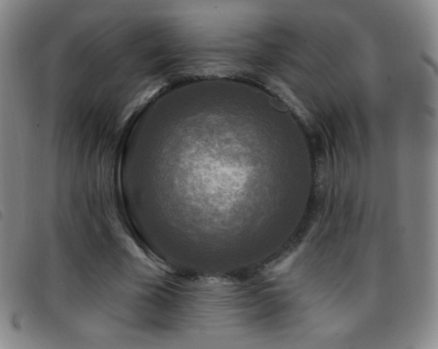 X0000097850585200803141219