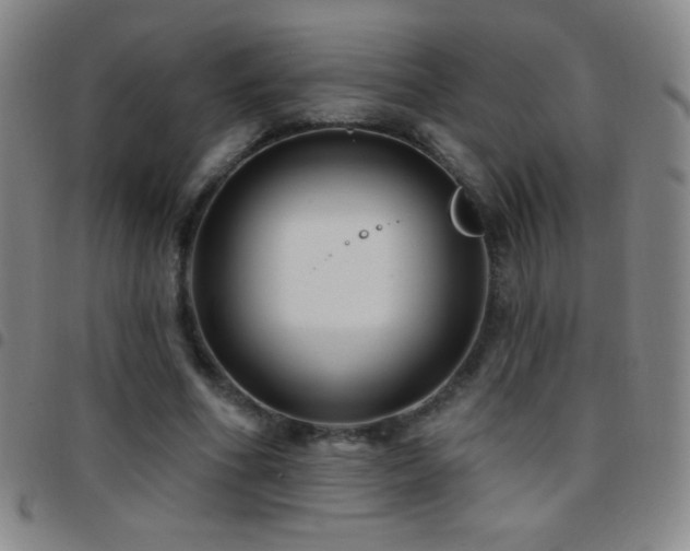 X0000097850586200803141219