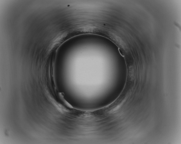 X0000097850589200803141219