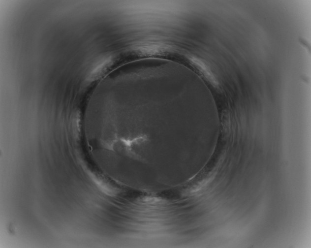 X0000097850590200803141219