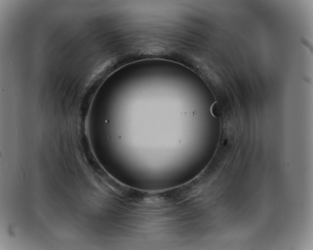 X0000097850591200803141219