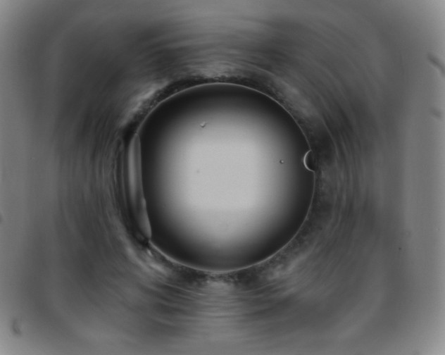 X0000097850592200803141219