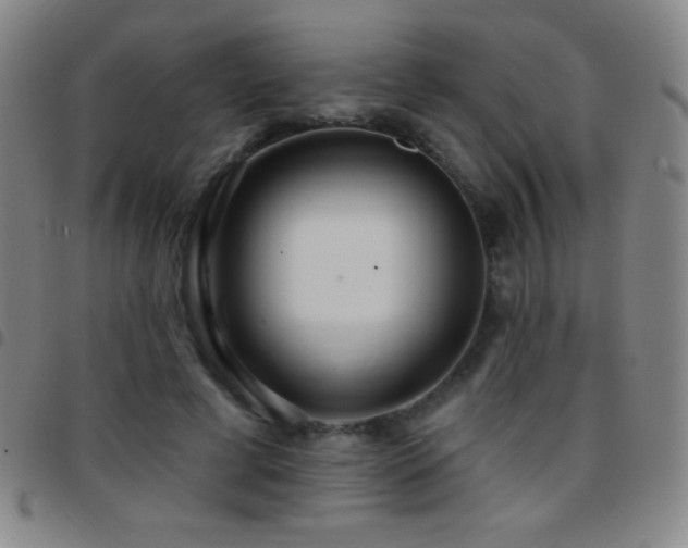 X0000097850593200803141219
