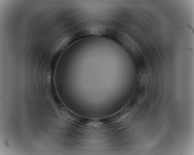 X0000097850595200803141219