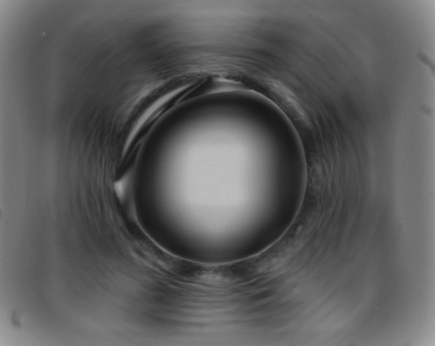 X0000097850596200803141219