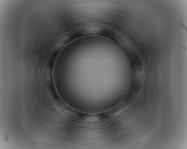 X0000097850599200803141219