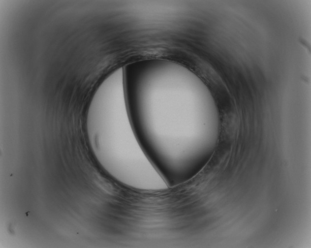 X0000097850601200803141219