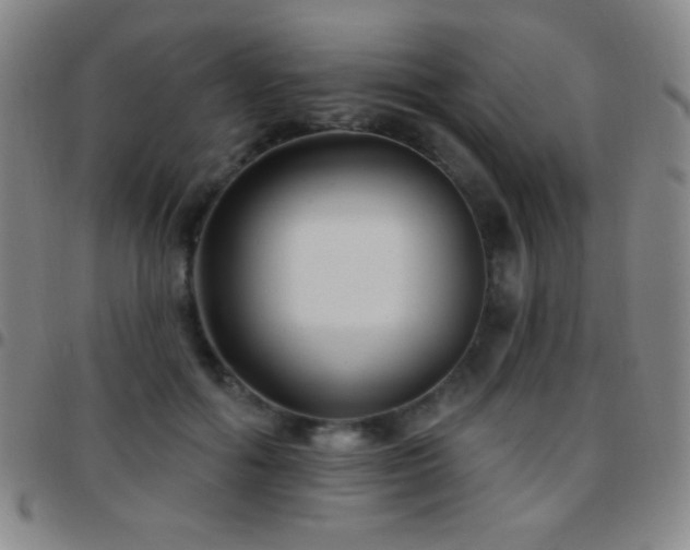 X0000097850602200803141219