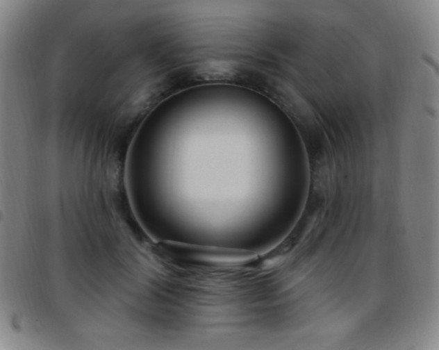 X0000097850604200803141218