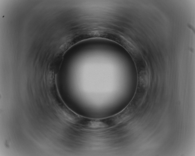 X0000097850605200803141218