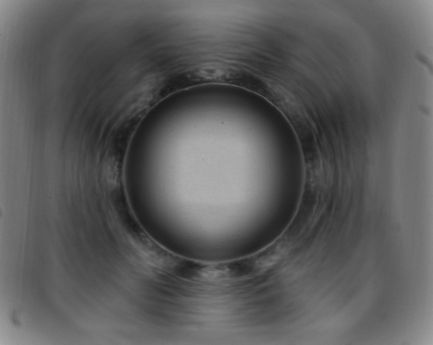 X0000097850606200803141218
