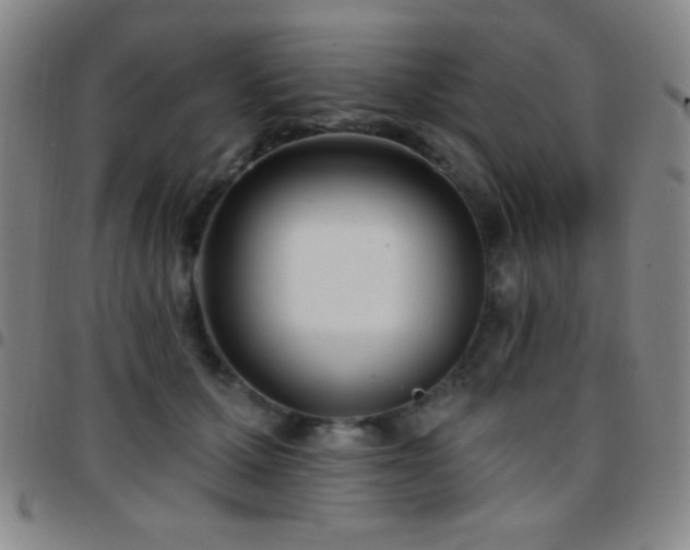 X0000097850607200803141218