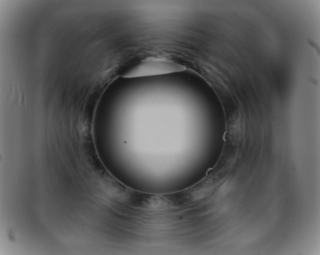 X0000097850608200803141218